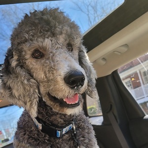 Team Page: Team Wildey